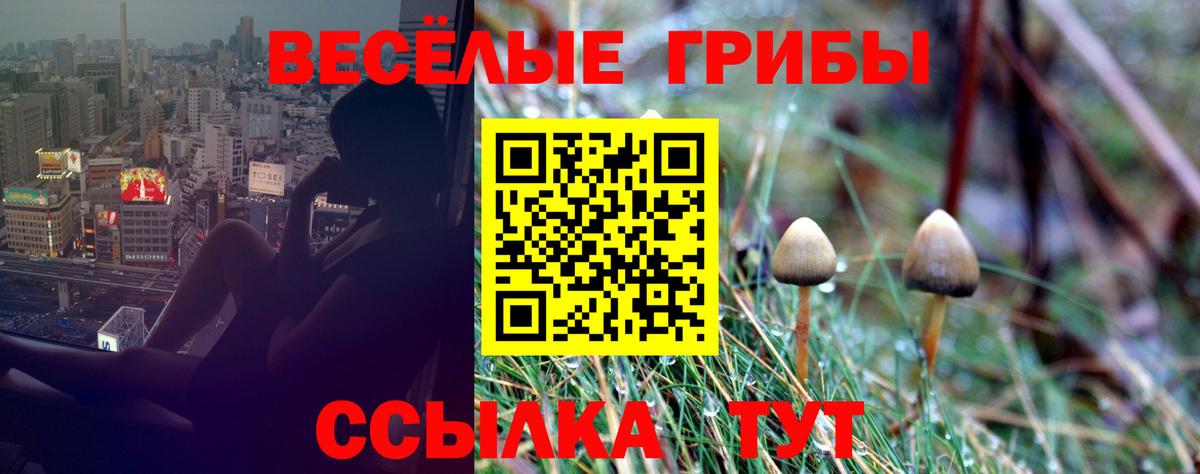 Галлюциногенные грибы MAGIC MUSHROOMS Истра